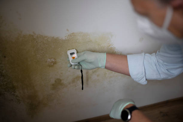 Best Crawl Space Mold Removal  in Broomfield, CO